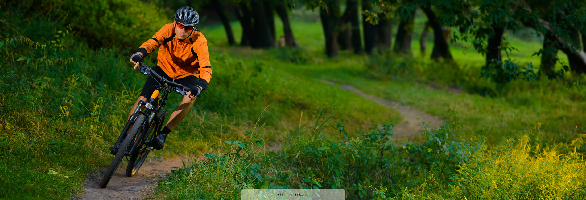 Bikeurlaub Bikeparks Kärnten