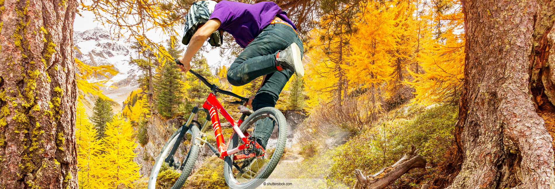 Downhill Biken Bikeparks Niederösterreich