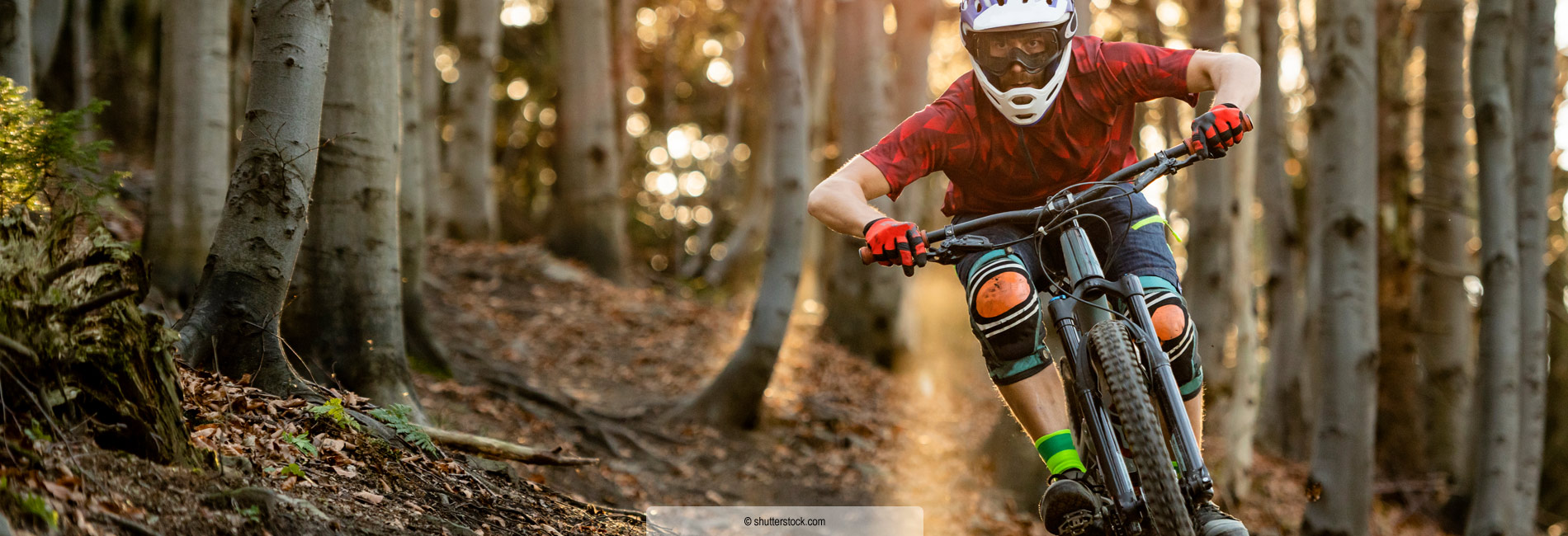 Singletrails Mountainbiken Tirol