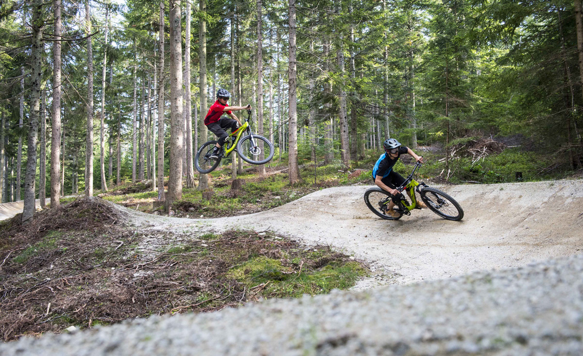 Trailbiken und Singletrails ohne Ende im Bikepark Wexl Trails in Niederösterreich - copyright Wexl Trails