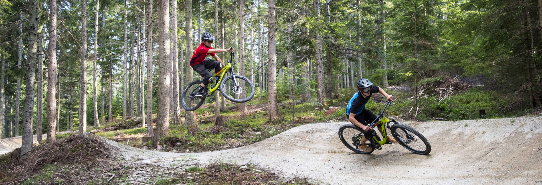 Trail biken und Freeriden im Bikepark Wexl Trails in Niederösterreich - copyright Wexl Trails