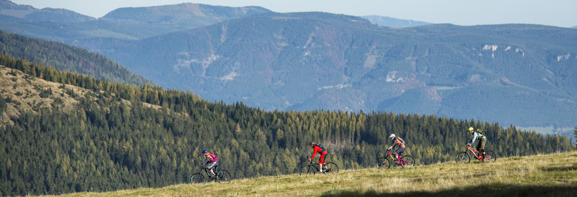 Bikeurlaub Wiener Alpen - Uphillbiken und Endurobiken in St. Corona am Wechsel - copyright Wexl Trails