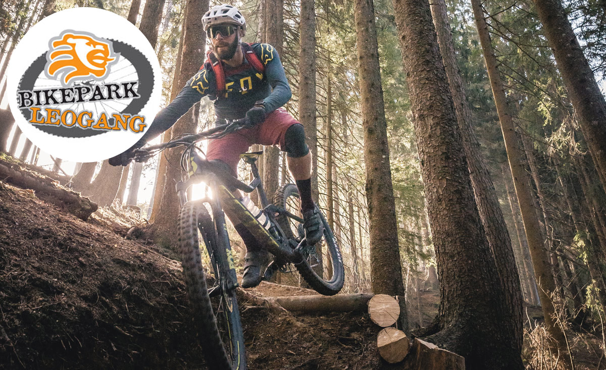 trail biken und Downhillen im Bikepark Leogang in Salzburg - copyright WOW Medien - Moritz Ablinger