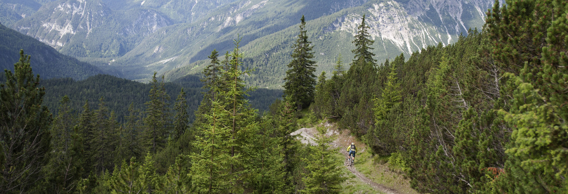 Endlose Trails im Bikepark Lermoos in Tirol - copyright Tirol Werbung