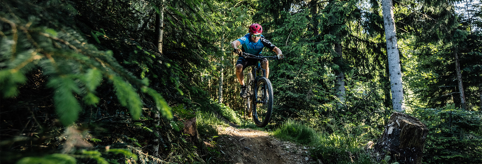 Northshore biken am Singletrail Harschbichl - Bikeurlaub Tirol - copyright Mirja Geh