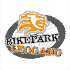 Bikepark Leogang Salzburger Land